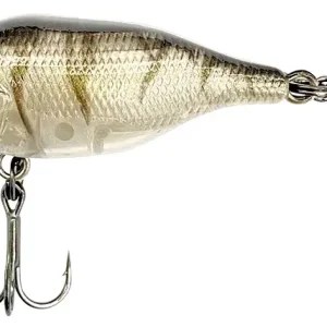 Disponibil imediat Vobler FOX Rage Funk Bug DR, UV Striped Shiner, 5cm, 7g NHL488
