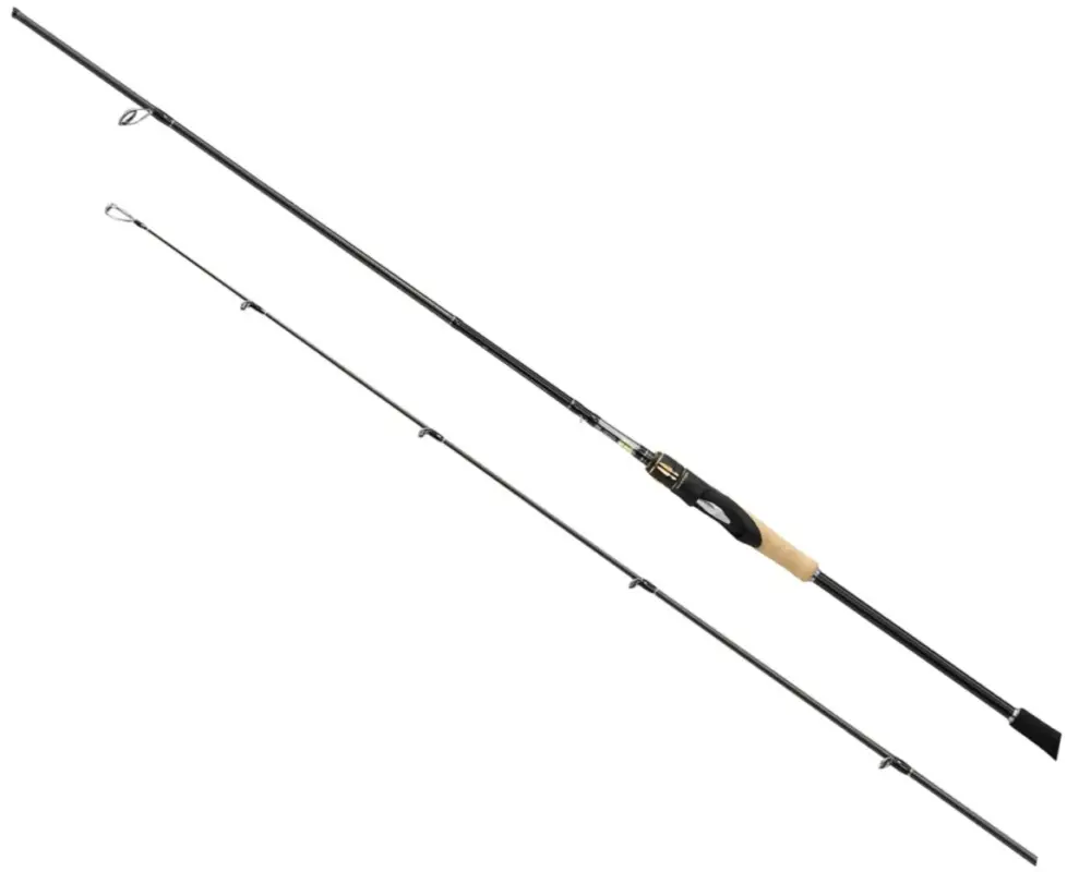 Livrare gratuită Lanseta Shimano Sustain 82H, 2.49m, 21-56g, 2buc