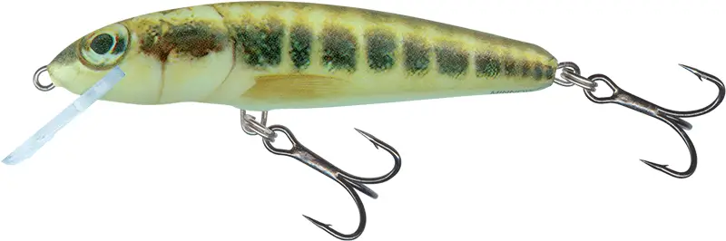 Plată securizată Vobler Salmo Minnow Floating, 6cm 4g, Minnow