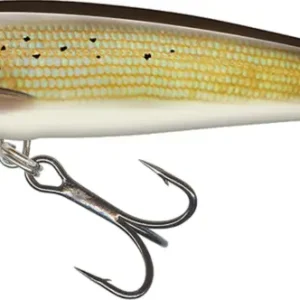 Vobler Salmo Minnow Floating, Grayling, 7cm, 6g Plată securizată