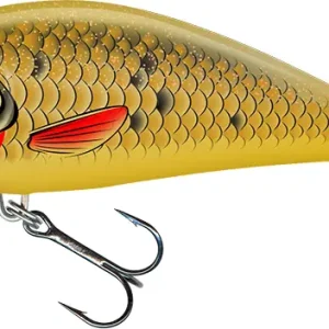 Ofertă specială Vobler Salmo Fatso Floating,Golden Bait,10cm