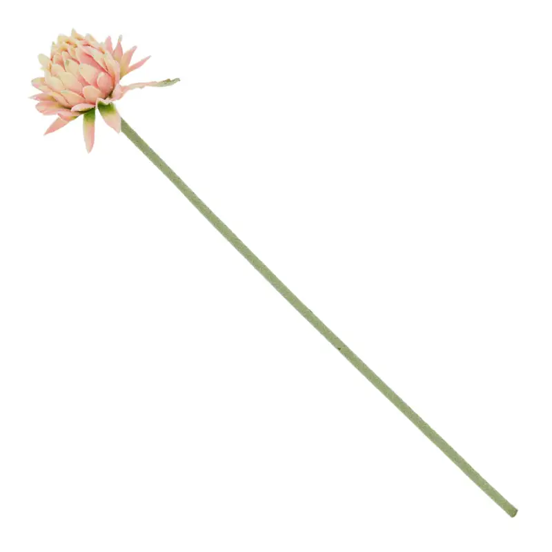 PROTEA Floare artificială Transport gratuit