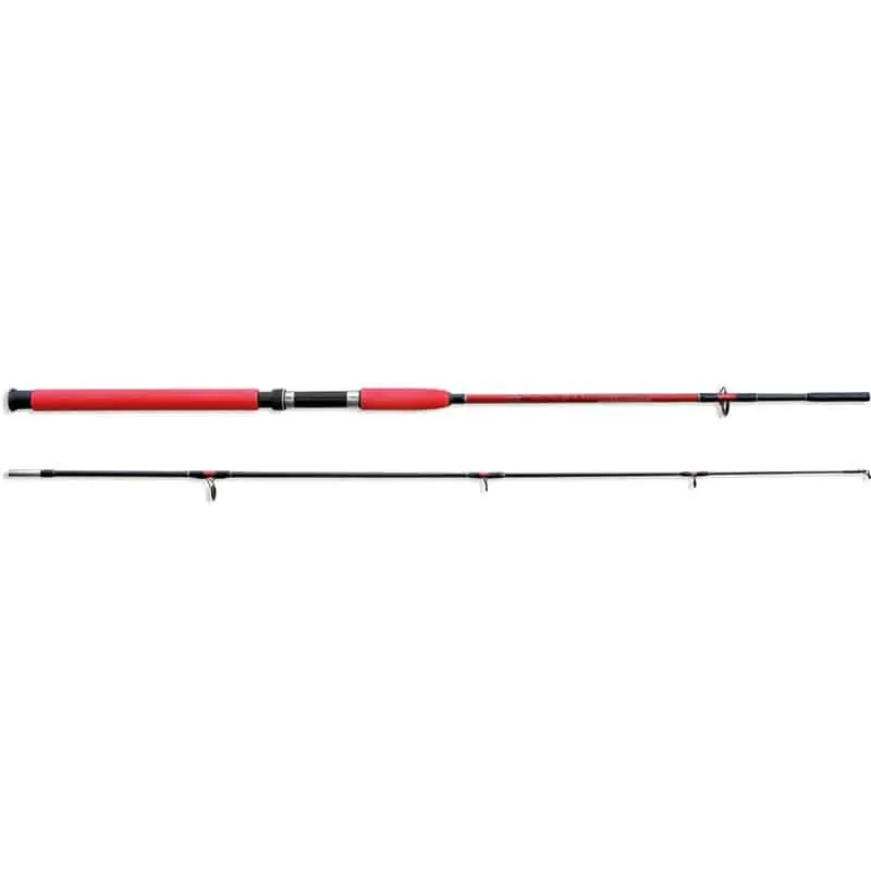 Lanseta Lineaeffe Mustang Catfish, 2seg, 2.10m, 100-250g Ofertă exclusivă