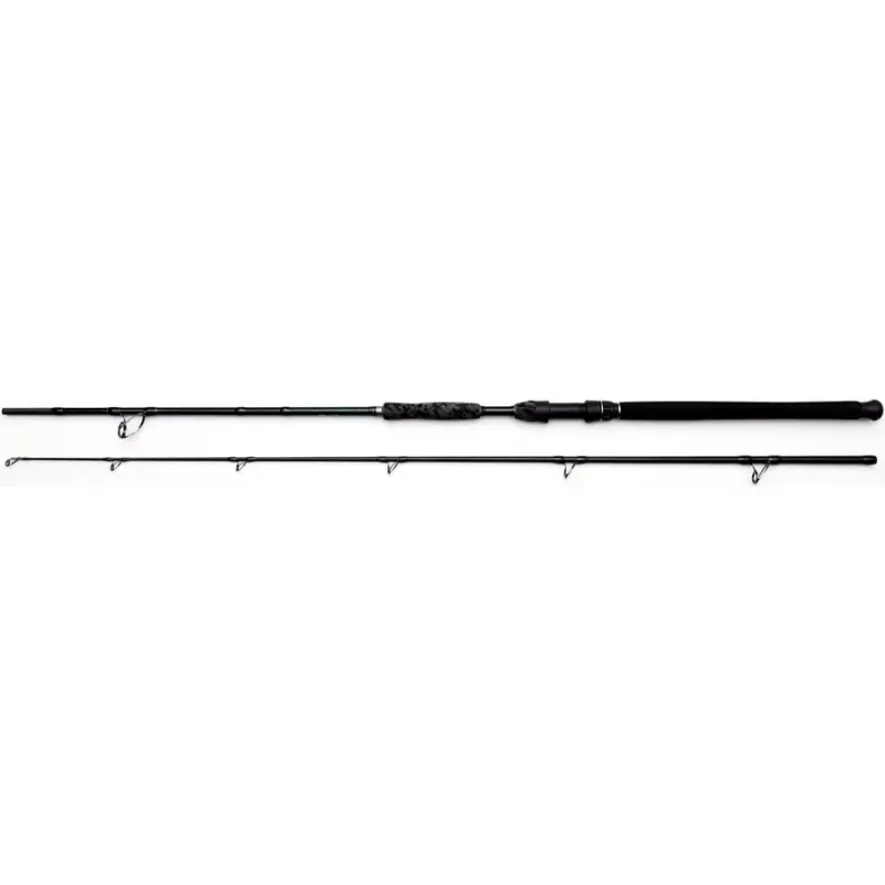 Ofertă exclusivă Lanseta Madcat Black Deluxe, 2seg, 2.95m, 100-250g