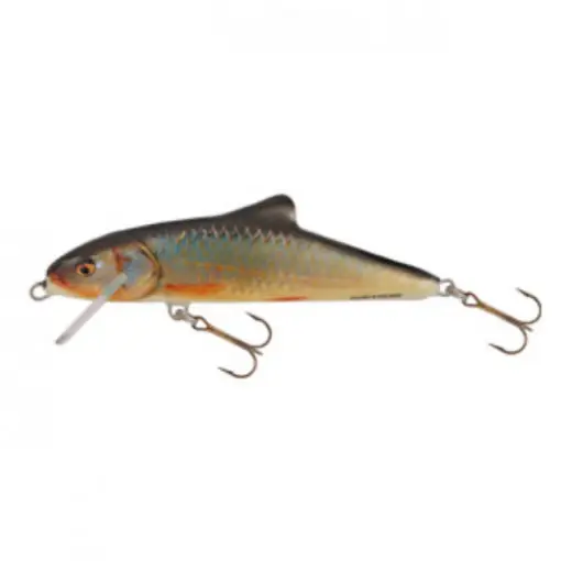 Reducere Vobler Salmo Skinner, culoare RR, 12cm, 19g