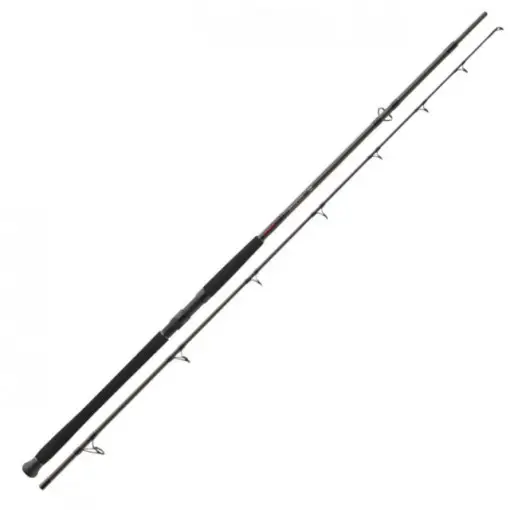 Ofertă specială Lanseta Daiwa Exceler Catfish, 3m, 200-600g, 2 tronsoane