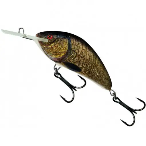 Ofertă de sezon Vobler Salmo Hornet H9F, Floating, culoare SNT, 9cm, 36g
