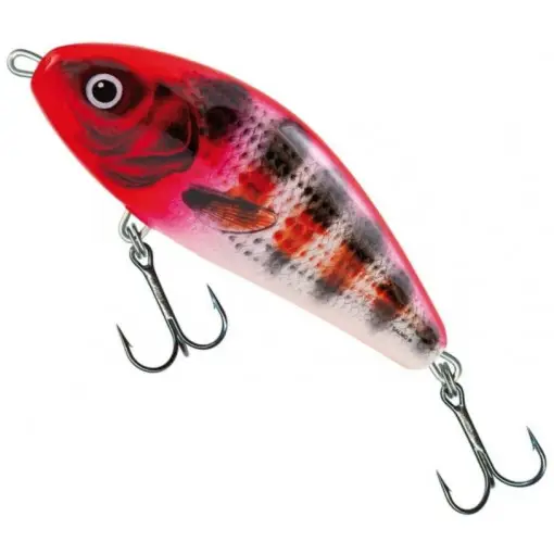 Vobler Salmo Fatso Floating F10F, culoare HRS, 10cm, 48g Cumpără online