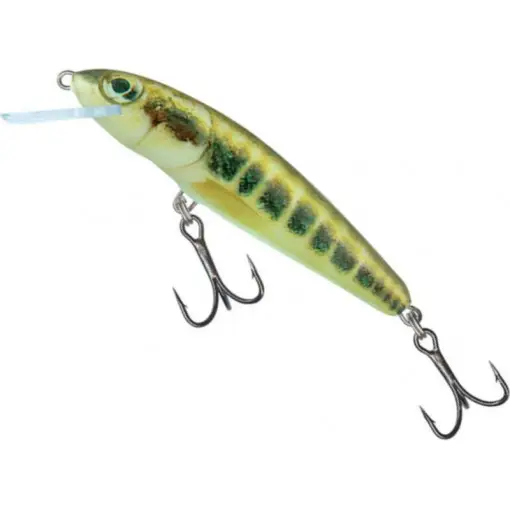 Ofertă Vobler Salmo Minnow Floating M5F, culoare M, 5cm, 3g
