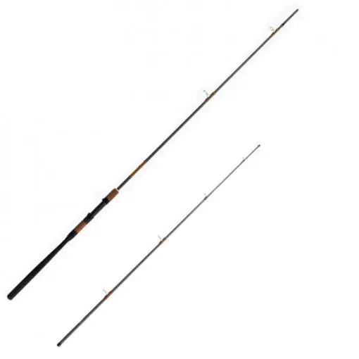 Cumpără acum Lanseta Delphin Rewir Picker, 3.00m, 60g, 2+3 tronsoane
