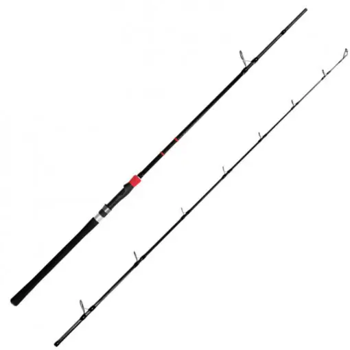 Lanseta Delphin Rivera NX, 2.60m, 150g, 2 tronsoane Expediere rapidă