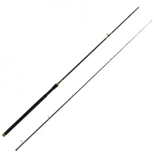 Livrare gratuită Lanseta Delphin Murena, 2.70m, 50-100g, 2 tronsoane