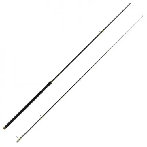 Disponibil imediat Lanseta Delphin Murena, 3.00m, 50-100g, 2 tronsoane