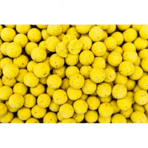 Cel mai bun preț Boilies Pro Line Scopex N'Butyric, 5kg