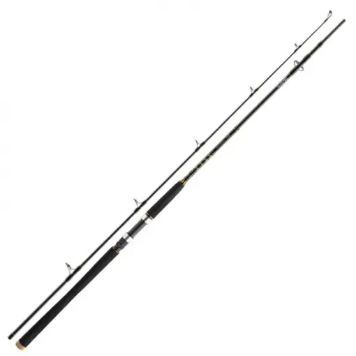 Disponibil imediat Lanseta Daiwa BG Offshore Pilk, 2.40m, 50-165g, 2 tronsoane