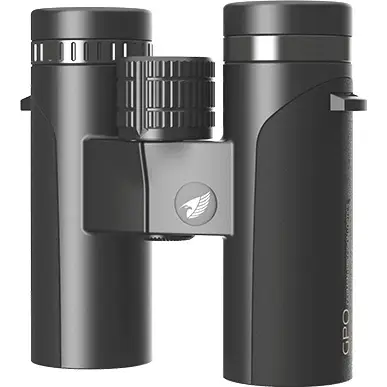 Expediere rapidă Binoclu GPO Passion, 10x42ED, Black