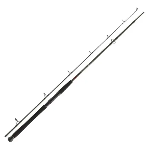 Lanseta Daiwa Exceler Catfish Spin, 2.40m, 135g, 2 tronsoane Noutate