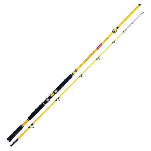 Lanseta Colmic Marlet Boat 3m, 70-300g, 2 tronsoane Retur gratuit
