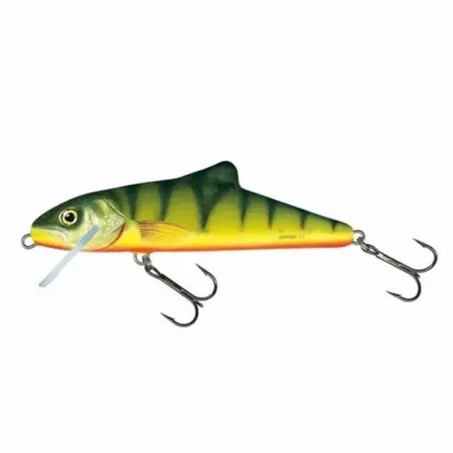 Vobler Salmo Skinner SK10F, HP, 10cm, 15g Promoție