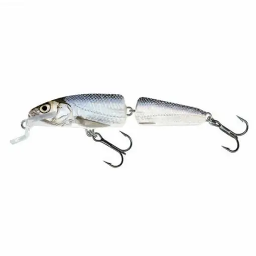 Vobler Salmo Fanatic IF7F, RBL, 7cm, 5g Livrare rapidă