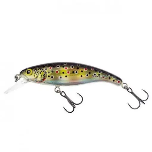 Vobler Salmo Slick Stick, HGB, 6cm, 3g Livrare rapidă