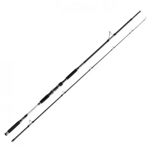 Lanseta somn Jaxon Intensa GTX Catfish Spinning, 2.70m, 50-120g Promoție