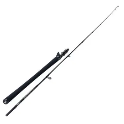 Lanseta Sportex Black Arrow G-3 Baitcast Musky, 2.3m, 220g, 2 tronsoane Calitate înaltă