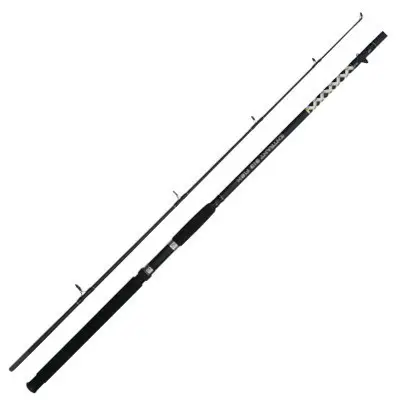 Discount Lanseta Carp Zoom Entrant Big Fish, 3m, 200-500g, 2 tronsoane