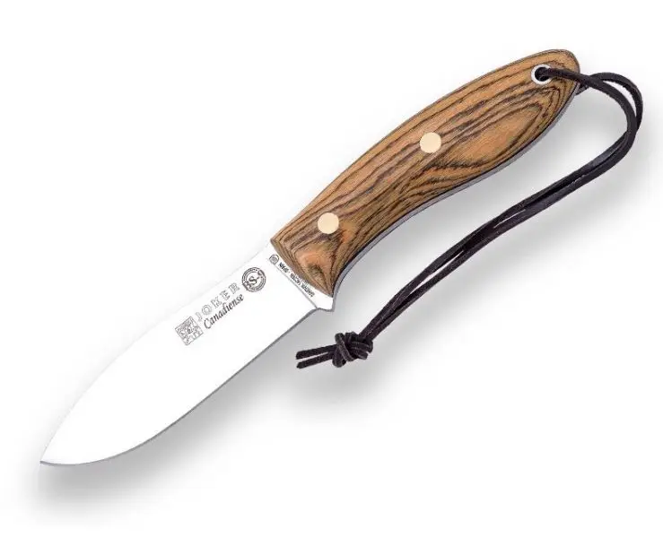 Ultima șansă Canadiense Bocote, Firesteel