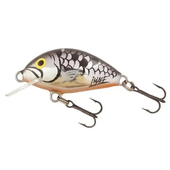 Salmo, Vobler Tiny, Silver (SLV), Floating/Sinking, 3cm Vezi acum