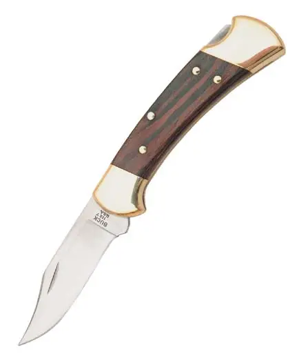 Livrare expres Buck Ranger Lockback