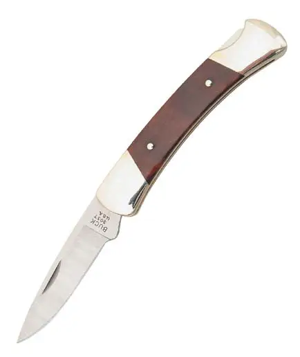 Ofertă limitată Buck Prince Lockback