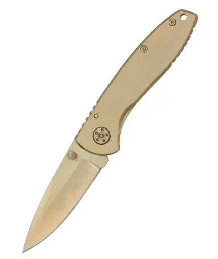 Smith & Wesson Executive Gold SW110GL Livrare expres